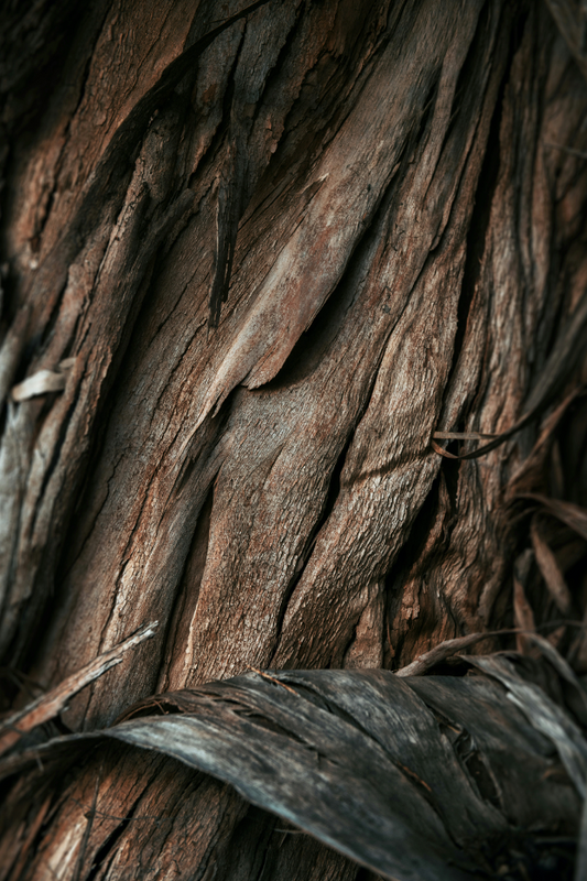 Vanilla Sandalwood 34 oz scented candle