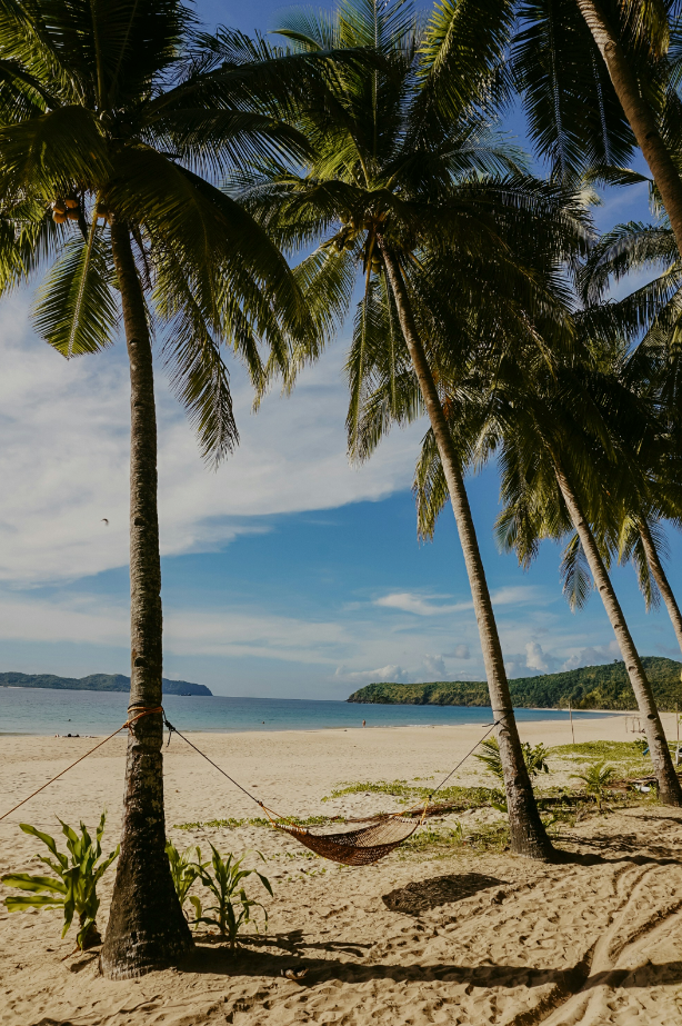 Tahitian Vanilla 15.7 oz Liquid Hand Soap