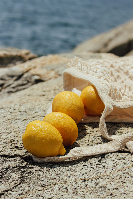 Italian Citrus 12 oz scented candle