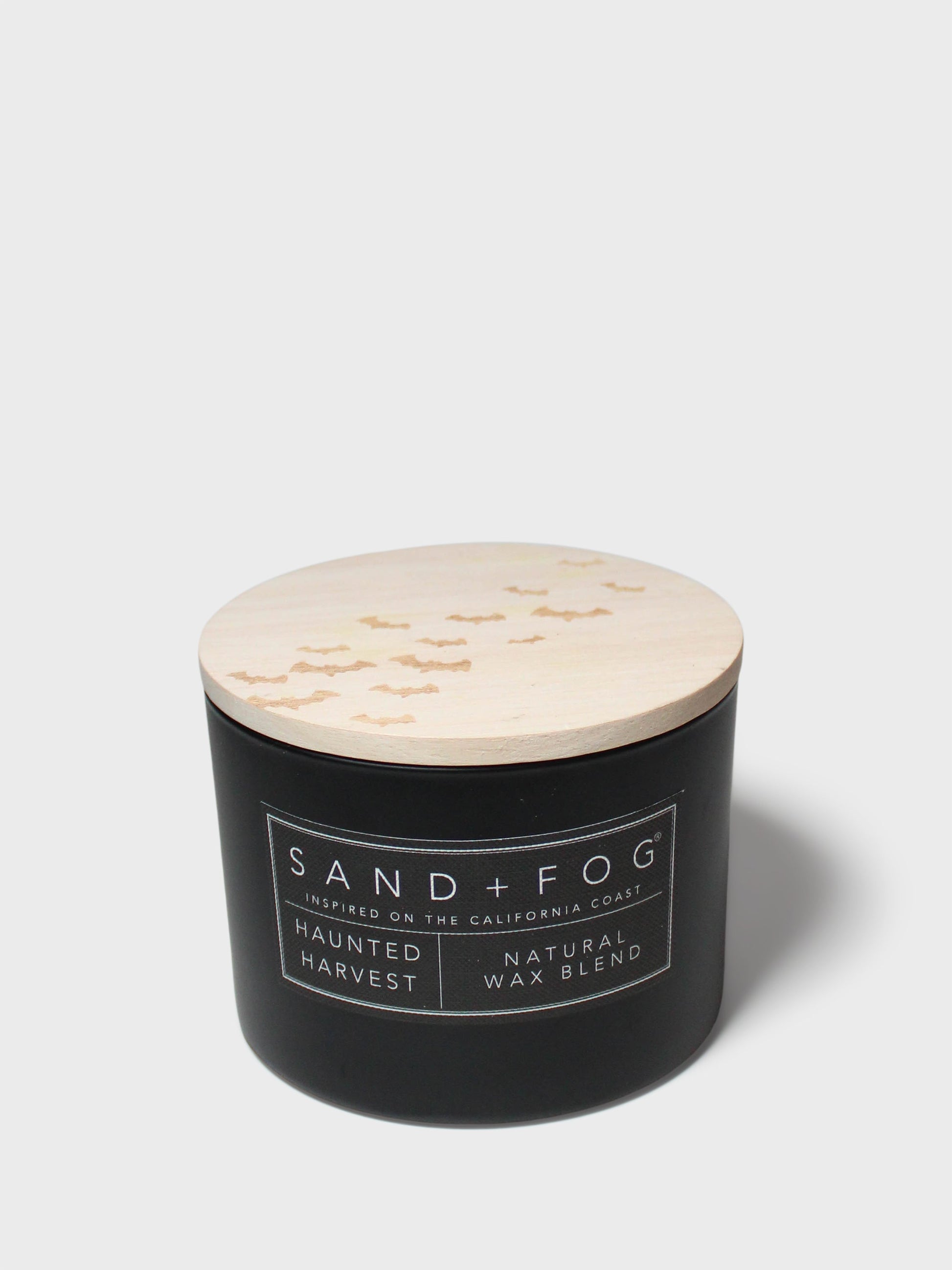 Haunted Harvest 12 oz scented candle