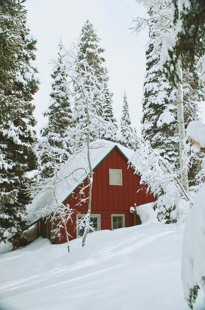 Winter White 12 oz scented candle