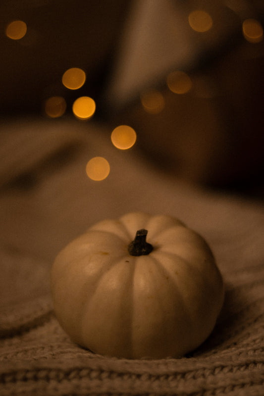 Vanilla Pumpkin 21 oz scented candle